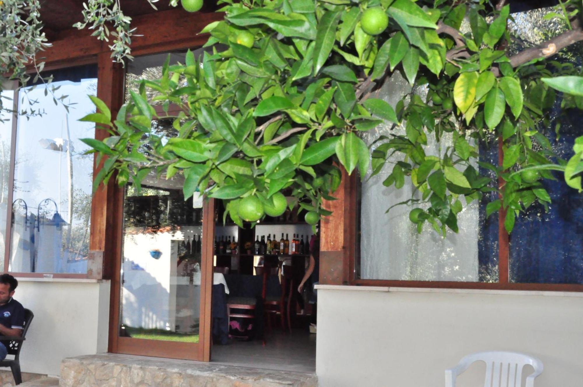 Hotel Il Melograno Mattinata Luaran gambar